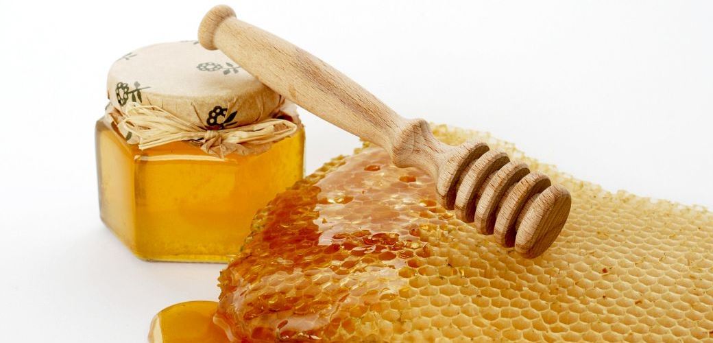 Die größte Auswahl an deutschem Bienenhonig im Internet