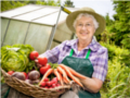 Der erfolgreiche Handel und Aufzucht von Bio-Produkten