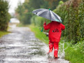 Automaten f�r Regenschirme