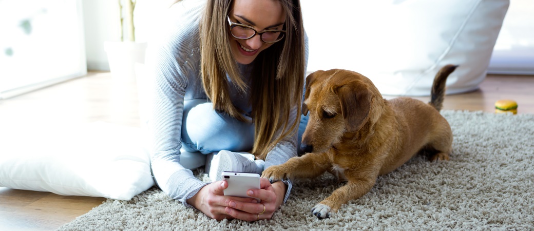 MyDog365 - Digitale Hundeschule - Hundetraining per App
