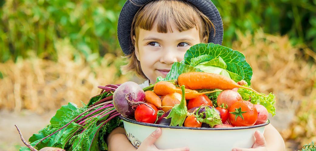 Ohne schlechtes Gewissen - Lieferservice für Bio-Lebensmittel